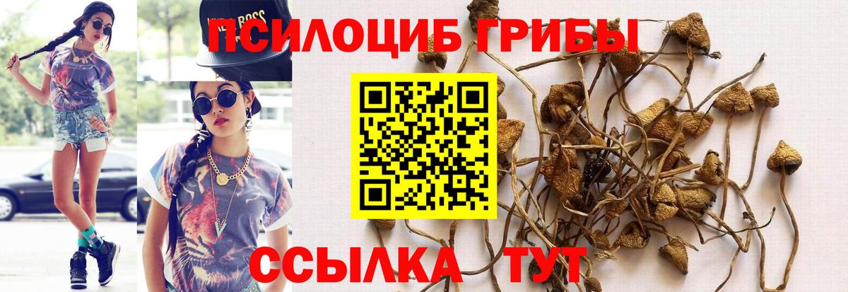 Псилоцибиновые грибы MAGIC MUSHROOMS Дербент