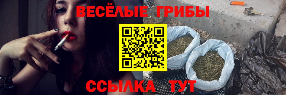 Дербент  Псилоцибиновые грибы GOLDEN TEACHER  Галлюциногенные грибы MAGIC MUSHROOMS  Вход с VPN 